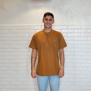 Camiseta Gola Redonda Premium Suedine Importada  Modelo Lacoste - GG, Marrom